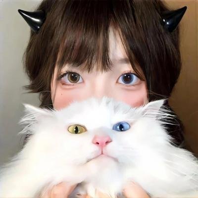 奴隶区:我和我的23个奴隶